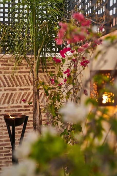 Riad Miloud En Exclusivite 10 P Au Coeur De La Medina Marakeş Dış mekan fotoğraf
